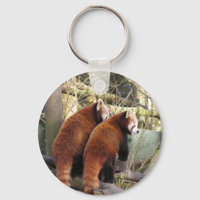Porte-clés Porte - clé Red Pandas (Recto)