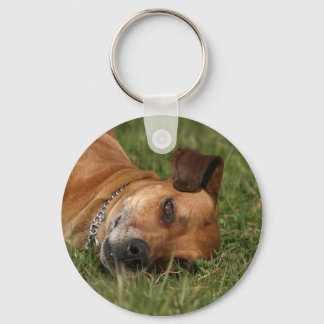 Porte-clés Porte - clé Rhodesian Ridgeback