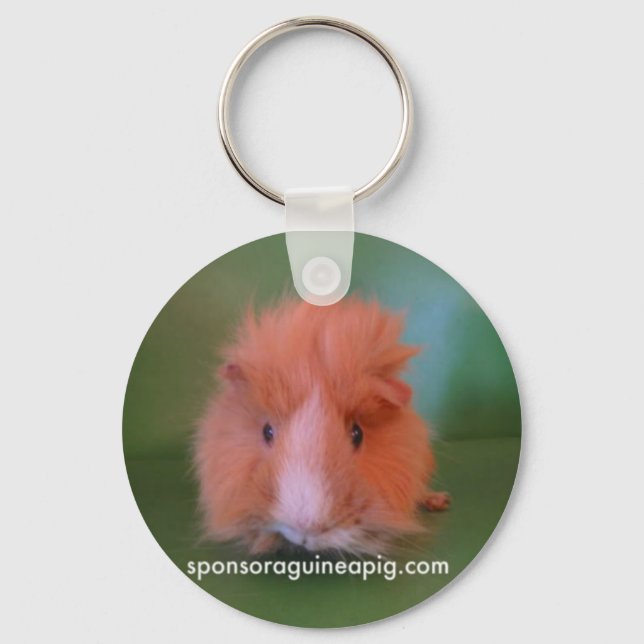 PORTE-CLÉS PORTE - CLÉ SAGP (Recto)