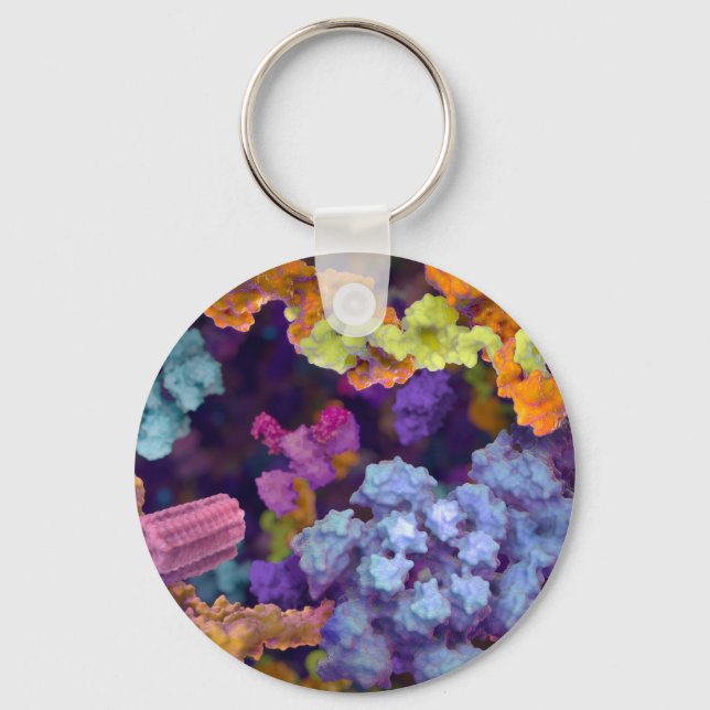 PORTE-CLÉS PORTE - CLÉ SB (Recto)