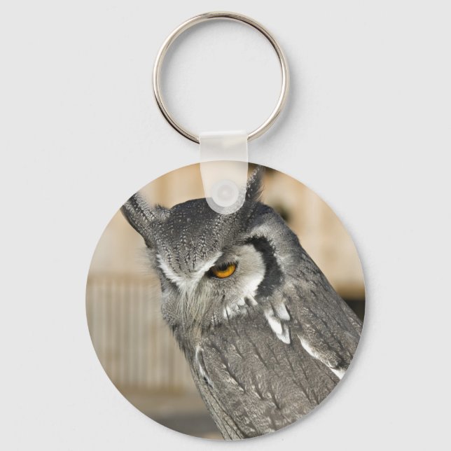 Porte-clés Porte - clé Scops Owl (Recto)