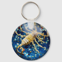 Porte - clé Scorpion