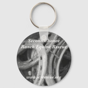 PORTE-CLÉS PORTE - CLÉ SCR