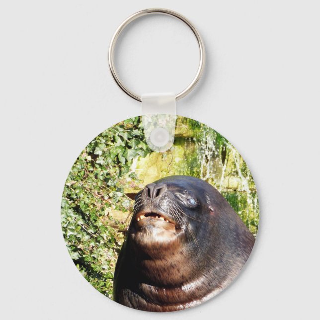 PORTE-CLÉS PORTE - CLÉ SEA LION (Recto)