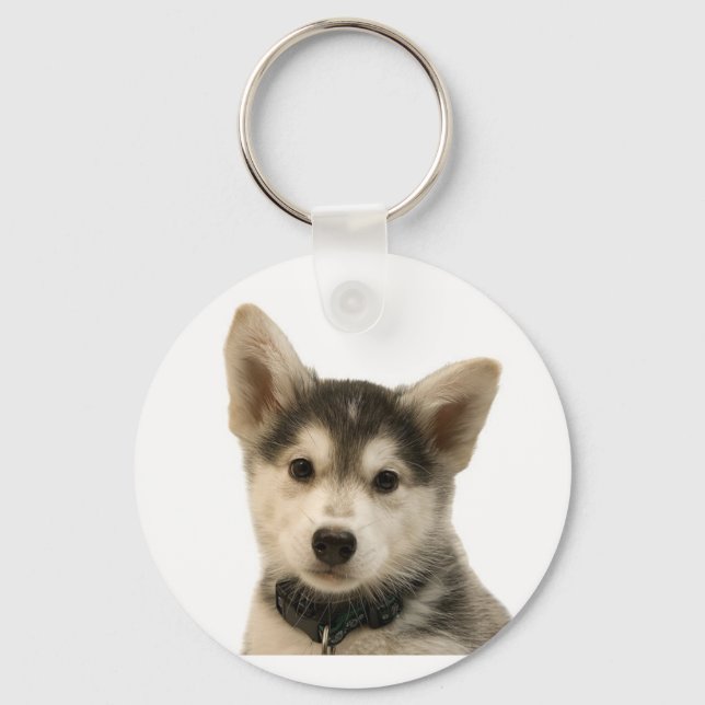 Porte-clés Porte - clé sibérien Husky (Recto)