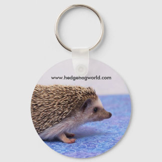 Porte-clés porte - clé standard