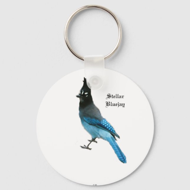 Porte-clés Porte - clé Stellar Blue Jay (Recto)