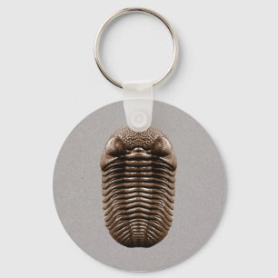 Porte-clés Porte - clé Trilobite