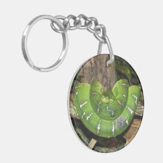 Porte-clés Porte - clé vert de serpent de boa d'arbre