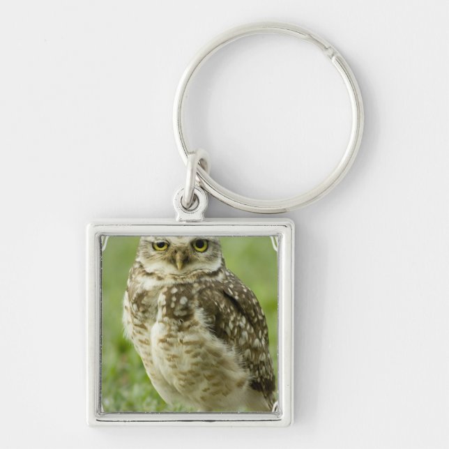 Porte-clés Porte - clé vigilant de hibou (Devant)