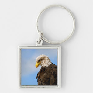 Porte-clés Portrait d'aigle à tête blanche Art animalier