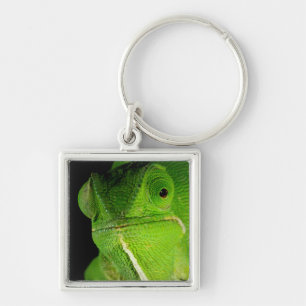 Porte-clés Portrait de caméléon à cou plat