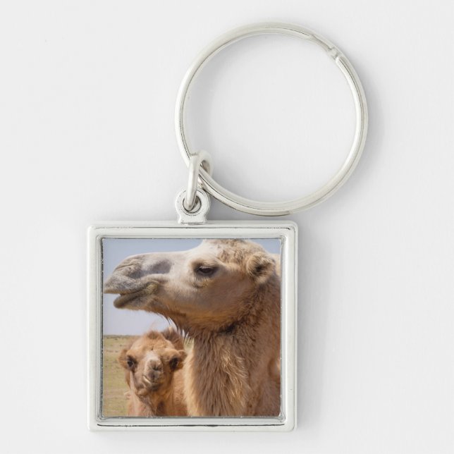 Porte-clés Portrait de chameau de Bactriane (Devant)