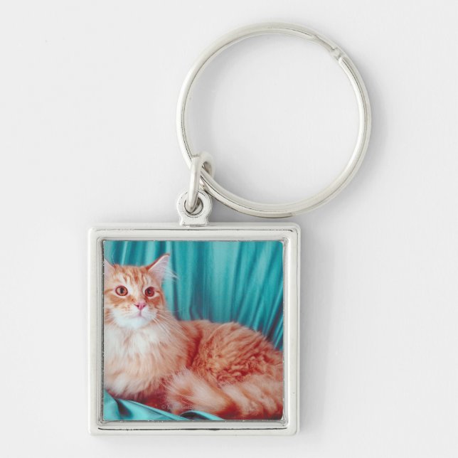 Porte-clés Portrait de chat (Devant)