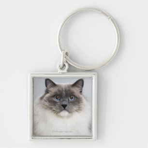 Porte-clés Portrait de chat de Ragdoll