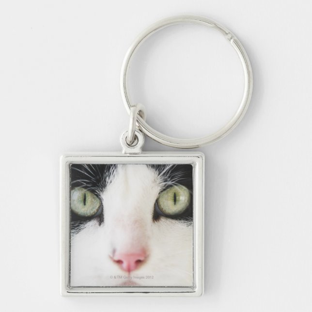 Porte-clés Portrait de chat domestique (Devant)