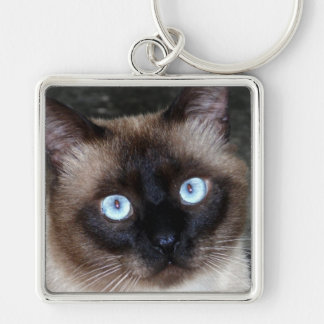 Porte-clés Portrait de chat siamois