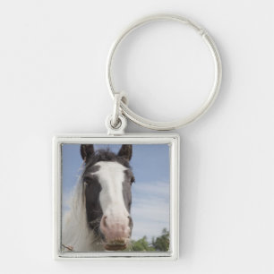 Porte-clés Portrait de cheval de Clydesdale