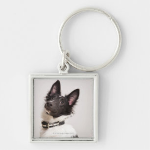 Porte-clés Portrait de chien de berger de Shetland noir et