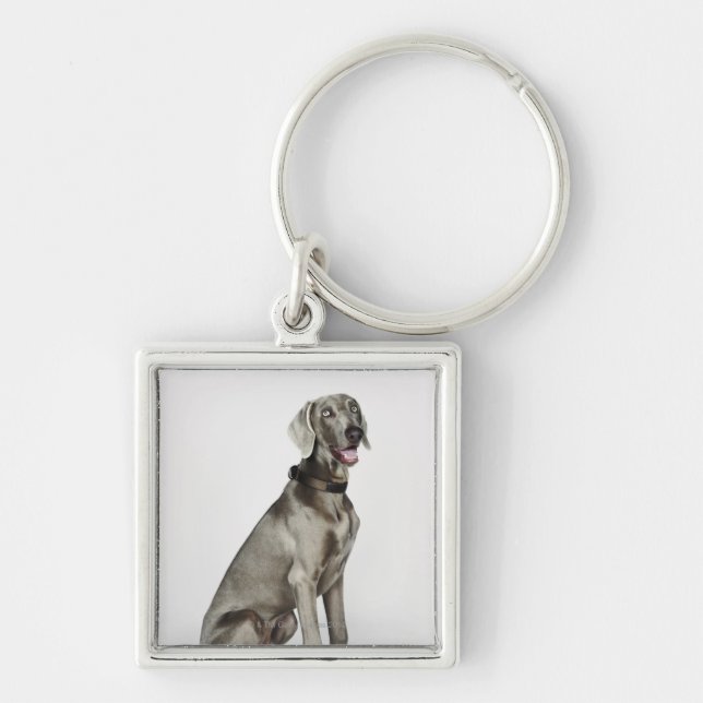Porte-clés Portrait de chien de Weimaraner (Devant)