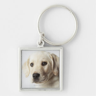 Porte-clés Portrait de chiot blond de labrador retriever