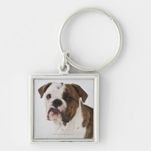 Porte-clés Portrait de chiot mignon de bouledogue