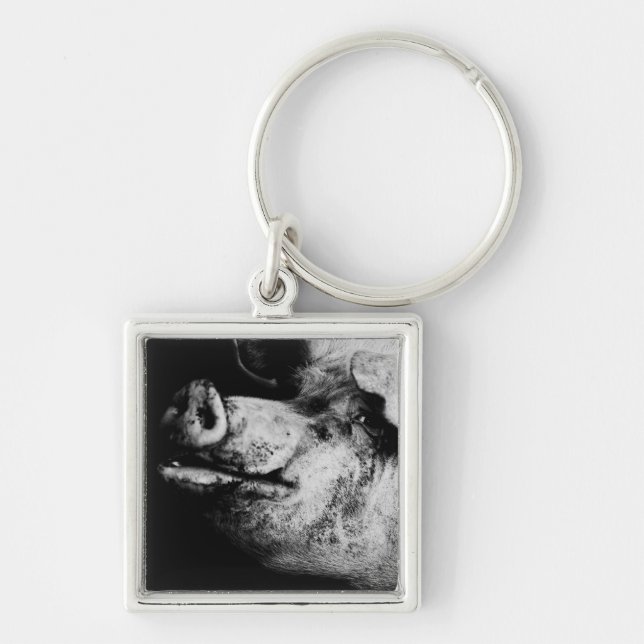 Porte-clés portrait de cochon (Devant)