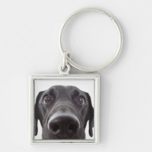 Porte-clés Portrait de fermeture Black Labrador