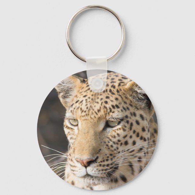 Porte-clés Portrait de Léopard (Recto)