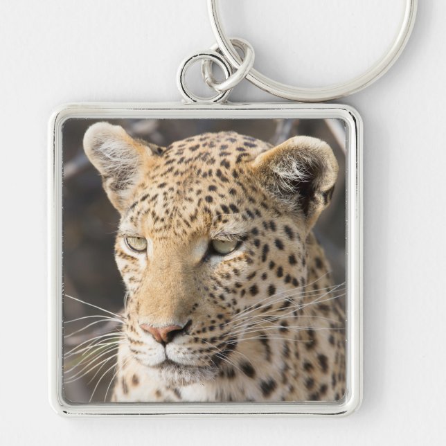 Porte-clés Portrait de Léopard (Devant)