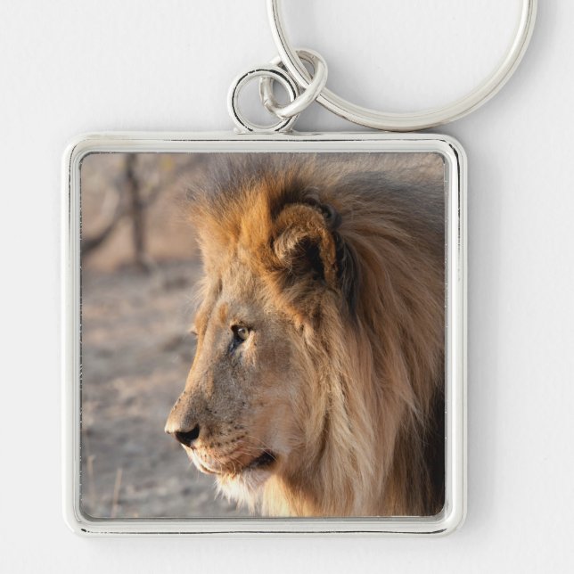 Porte-clés Portrait de Lion (Devant)