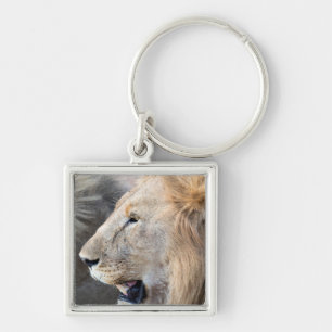 Porte-clés Portrait de Lion