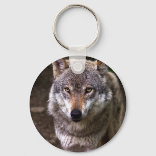 Porte-clés Portrait de loup