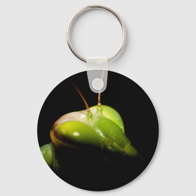 Porte-clés Portrait de mante en prière (Recto)
