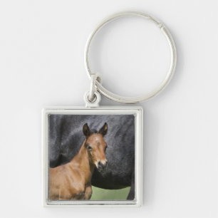 Porte-clés portrait de poulain brun