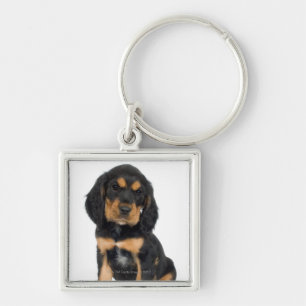 Porte-clés Portrait de studio de chiot de rottweiler