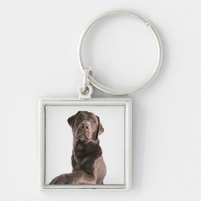 Porte-clés Portrait de studio de chocolat Labrador (Devant)