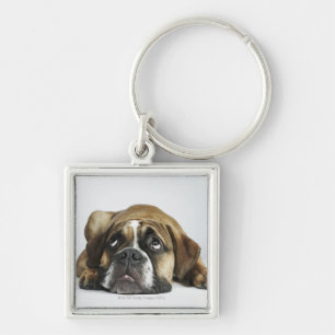 Porte-clés Portrait de vieux Tyme bouledogue de Dorset