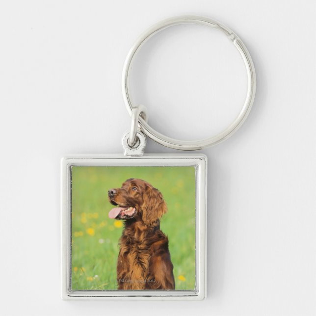 Porte-clés Portrait du chien 2 (Devant)