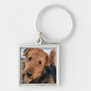 Porte-clés Portrait d'un Airedale Terrier