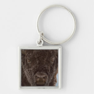 Porte-clés Portrait d'un bison mâle sous la pluie