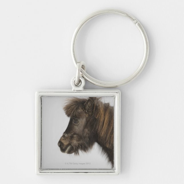 Porte-clés portrait d'un cheval (Devant)