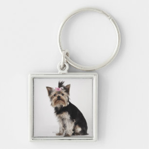 Porte-clés Portrait d'un chien de Yorkshire Terrier