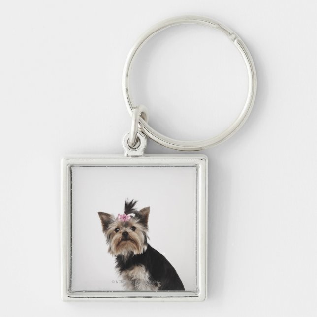 Porte-clés Portrait d'un chien de Yorkshire Terrier (Devant)