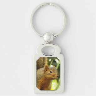 Porte-clés Portrait d'un écureuil Photographie d'animal de na