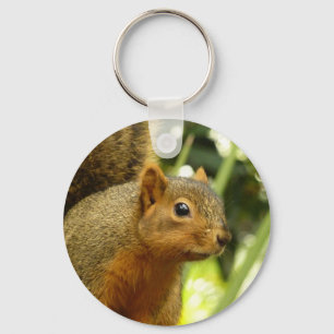 Porte-clés Portrait d'un écureuil Photographie d'animal de na