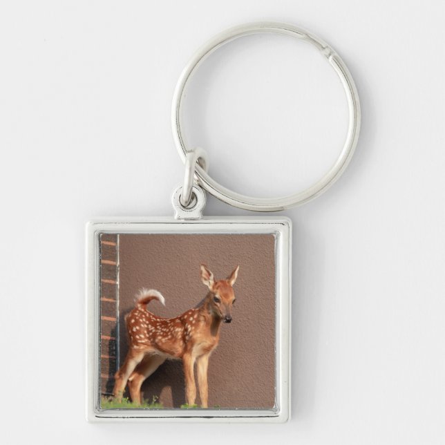 Porte-clés Portrait d'un faon (cerf de Virginie) (Devant)