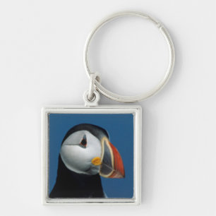 Porte-clés Portrait d'un Puffin de l'Atlantique