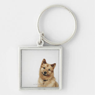 Porte-clés Portrait d'un sourire finlandais de chien de Spitz