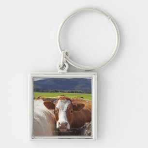 Porte-clés Portrait d'une paire de vaches dans le domaine